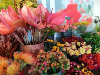 Fleuriste Fleurs D'Alain 0