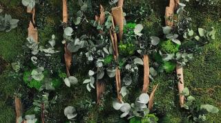 Fleuriste Memento Flori 1