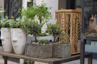 Fleuriste Memento Flori 0