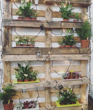 Fleuriste Le jardin d'Oya 0