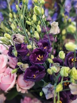 Fleuriste Fleurs D'Alain 0