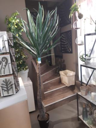 Fleuriste Oya Fleurs 0