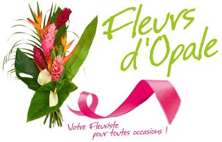 Fleuriste Fleurs D'opale 0