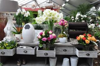 Fleuriste La Ferme de Gally - Jardinerie, Marché, Épicerie 0