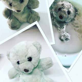 Fleuriste La Belle Etoile 1