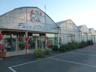 Fleuriste Fleurs d’Osserain (SCEA Marguerite) 0