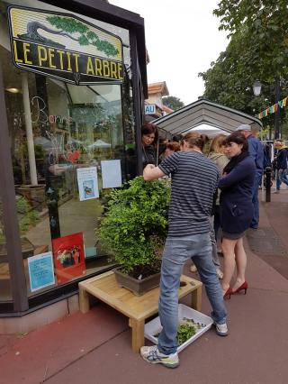 Fleuriste Le Petit Arbre 0