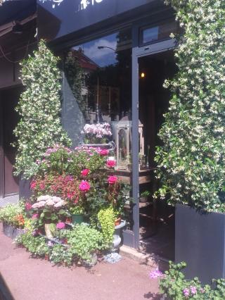 Fleuriste florestige 0