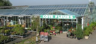 Fleuriste Cote Fleurs 0