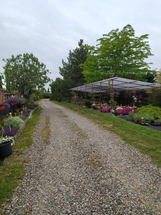 Fleuriste Pépinière Semaire 0