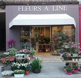 Fleuriste FLEURS A LINE 0