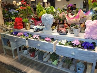 Fleuriste Vert Tige Luçon 0