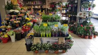 Fleuriste Fam Fleurs 0