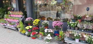 Fleuriste Monceau Fleurs 2