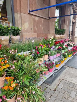 Fleuriste Monceau Fleurs 0
