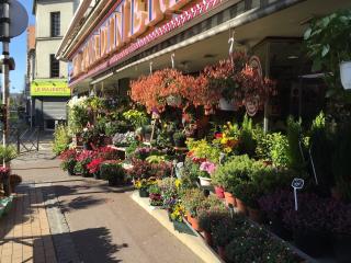 Fleuriste La Jardinerie 0