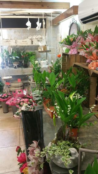 Fleuriste L'ATELIER DE CORINNE 0