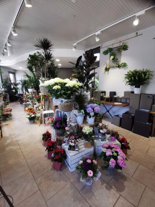 Fleuriste Pic Fleurs 0