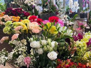 Fleuriste Pic Fleurs 0