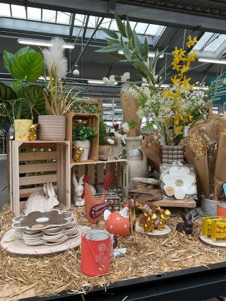 Fleuriste Truffaut 0