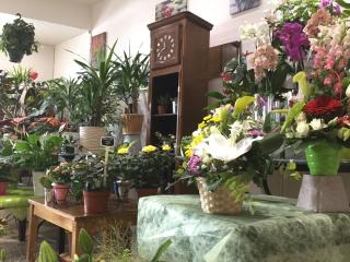 Fleuriste LÉA Fleurs 0