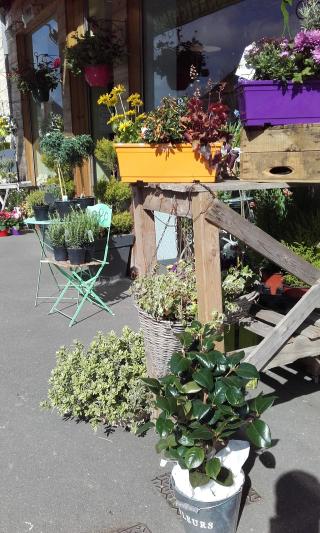 Fleuriste Bocage Fleurs 0