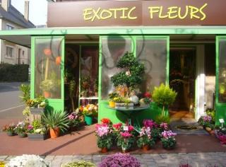 Fleuriste Exotic Fleurs 0