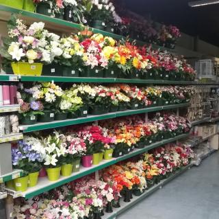 Fleuriste E.Leclerc Jardi 0