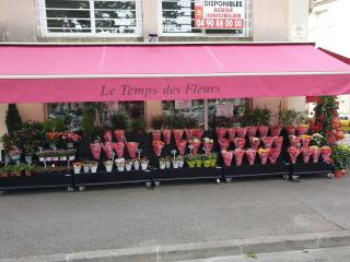 Fleuriste Le Temps des Fleurs 0