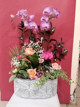 Fleuriste FLEURS BEUZE 1