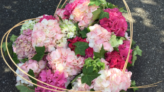 Fleuriste L'Edelweiss 1