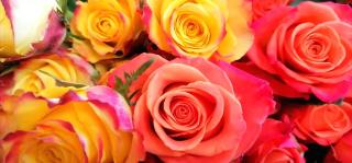 Fleuriste Atelier Flor Designer, Fleuriste Grenoble 0