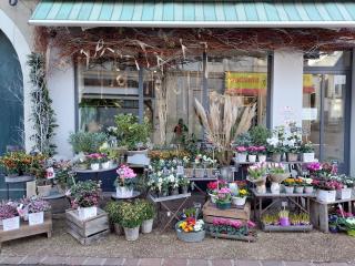 Fleuriste Un peu, beaucoup, à la folie 0