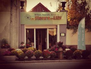 Fleuriste Les Fleurs de Lily 0