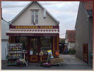 Fleuriste Graineterie Fleurs - I.C. MONTANT 0