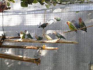 Fleuriste Graineterie Fleurs - I.C. MONTANT 0