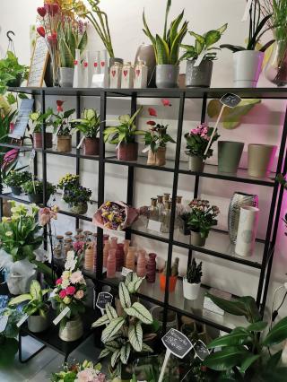 Fleuriste FRANCK FLEURISTE artisan 0