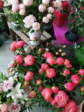 Fleuriste FRANCK FLEURISTE artisan 0