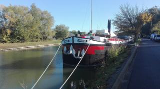 Fleuriste La P'tite Fleuriste 0