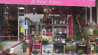 Fleuriste à fleur d'émoi 0