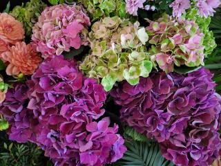 Fleuriste L' Atelier de Cécile 0