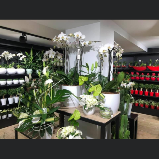 Fleuriste C'est le Bouquet 2