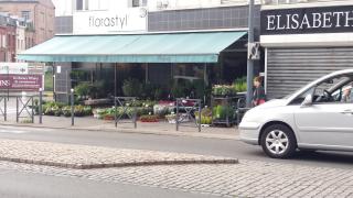 Fleuriste Florastyl 0