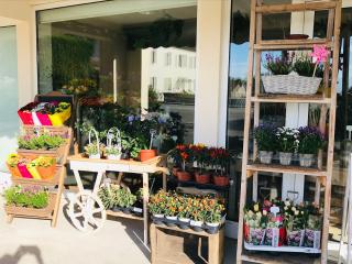 Fleuriste Douceurs Florales - artisan fleuriste 0
