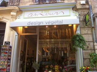 Fleuriste à nos amours, design végétal 0
