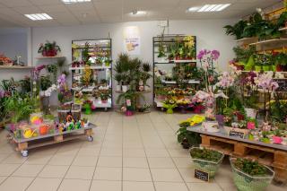 Fleuriste Beflore Montferrand le Château 0