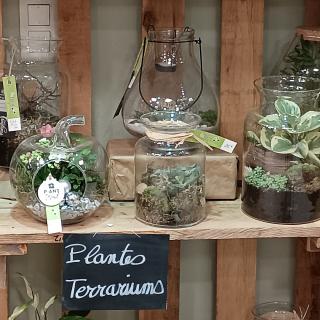 Fleuriste Beflore Montferrand le Château 0