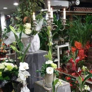 Fleuriste Flower Cambrai 0