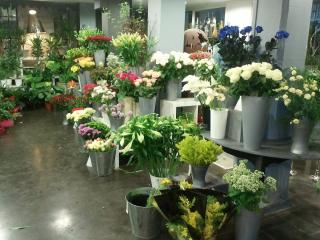 Fleuriste Flower Cambrai 0