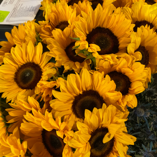 Fleuriste Les Jardins de Camille - Artisan fleuriste 0